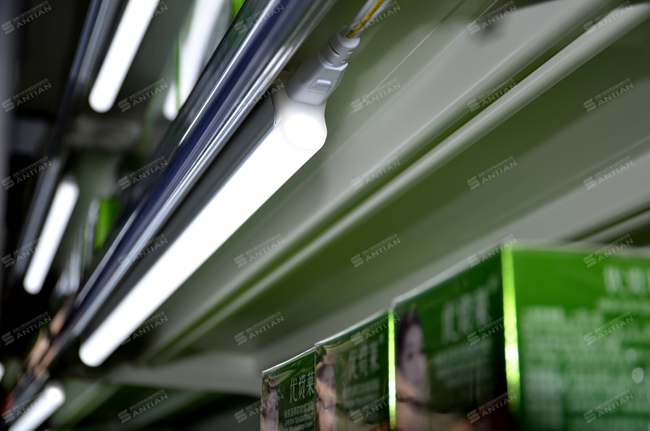 洗化營(yíng)010  燈光果